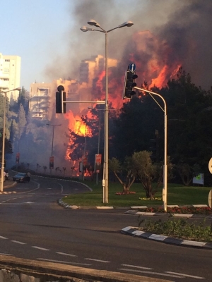 Das Feuer wütete besonders im Karmel Gebirge und in der Hafenstadt Haifa (Bild: Lior Rosenthal)